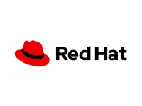 Red Hat Resilient Storage Add-On for Service Providers - Abonnement (3 år) + Layered Support - 1 sokkelpar - Red Hat Certified Cloud & Service Provider (CCSP) - Dedicated Offering - Linux