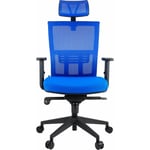 Maxxhome - Luxe Mesh Ergonomic Office Chair - Haut de gamme - Bleu - blue