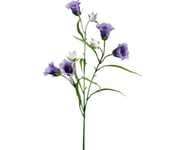 Konstväxt Campanula 65cm lila