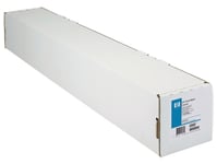 Hp Artist Matte Canvas - Matt - 0.457 Mm - Rulle (106,7Cm X 15,2 M) - 380 G/M² - 1 Rulle (Rullar) Kanvaspapper - För Designjet 5000, 5500, Z2100, Z3100, Z3200, Z5200, Z5400, Z6100, Z6200, Z6600, Z6800