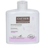 Cattier Shampooing Moelle de bambou cheuveux secs