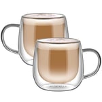 hirmit Double Walled Coffee Glasses Mugs Cappuccino Latte Macchiato Glasses Cups Pack of 2 (with Handle 300ml)