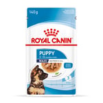 Royal Canin Maxi Puppy i sauce - Økonomipakke: 40 x 140 g