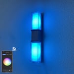 Smart Wall Lights Home Rectangle Wall Lamps RGB Color Changing For Outdoor