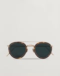 Eyevan 7285 762 Sunglasses Tortoise