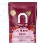 Naturya Mixed Berry Gut Feel Flaxseed Blend - 240g