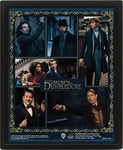 Pan Vision Fantastic Beasts 3D-plakat (Dumbledore)