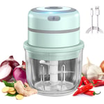 Viilich Mini Food Chopper,Electric Garlic Chopper,USB Charging Garlic Masher Food Processor Chopper with 3 Sharp Blades for Vegetable Meat Chopper and Grinder,Upgrade glass container 300ML