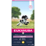 Hundfoder Eukanuba Puppy M Chicken 15kg