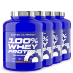 4 x 100% Whey Protein, 2350 g, BIG BUY