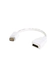 Mini DVI to HDMI Video Cable Adapter for Macbooks and iMacs - videoadapter - HDMI / DVI