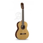 Klassinen kitara Alhambra 1/2 Guitarra Hybrid Terra
