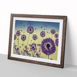 Enticing Dandelion Flowers H1022 Framed Print for Living Room Bedroom Home Office Décor, Wall Art Picture Ready to Hang, Walnut A2 Frame (64 x 46 cm)