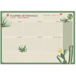 Buck - a4 botanical cacti italiano kokonote weekly planner pad