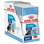Våd mad Royal Canin Maxi Puppy 10 x 140 g