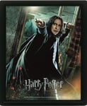PCmerch Harry Potter: Deathly Hallows Snape - 3D poster med ram