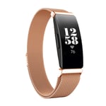 Milanese Loop Armband Fitbit Inspire/Inspire HR/Inspire 2 Rose Guld