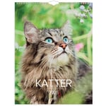 Väggkalender Burde 1775 Katter 2025