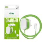 Juice Apple iPhone 12, 12 Mini, SE, 11, XS, XR, X, 8, 7, 6, 5, iPad, Pro, Air, Mini, Airpods Mains Charger, 1A