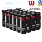 Wilson Performance Speed Padel Ball - Låda (24 rör)
