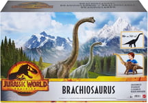 Jurassic World Dominion Brachiosaurus Dinosaur Toy 32” & Posable Joint HFK04 NEW