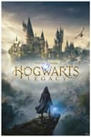 Hogwarts Legacy juliste