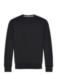 Hackett London Double Knit Crew Svart