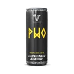 Viking Power 24 x PWO Dyck - 330 ml Pineapple Citrullinmalat, Beta-alanin, Koffein, Energidryck