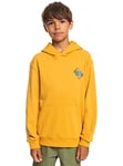 Quiksilver Garçon Color Flow Hood Youth Sweater, Bright Gold, 8 ans EU