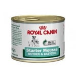 Royal Canin Starter Mousse à 195 g 12 st