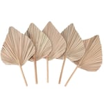 Dried Palm Leaves 5 Pieces - 18Inch H x 10Inch W Natural Palm Le B5D3