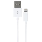 Kit Essentials MFi Apple Approved Lightning Data and Charge Cable for iPhone 5/5s/6/6S/6 Plus/6S Plus/SE/7/7 Plus/8/8 Plus/X/XR/XS/XS Max/11/11 Pro/11 Pro Max, iPad, iPod Nano and iPod Touch – White