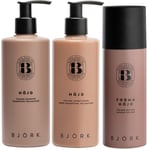 Björk HÖJD Bundle Shampoo 300 ml & Conditioner 250 ml & Volume Mousse