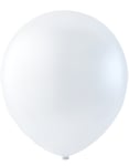 Genomskinliga Ballonger 31 cm - 100 stk MEGAPACK