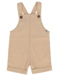 Gullkorn Tille baby shorts - iskaffe