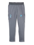 NIKE Dri-Fit Tottenham Hotspur Strike Pants FC, Unisex Adult, unisex-adult, AO6362, Flint Grey/Dark Grey/Blue Fury, XS