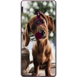 Sony Xperia XZ3 Transparent Mobilskal Ung Hund