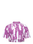 Thebe Magugu Allover Print Crop T-Shirt Sport Crop Tops Short-sleeved Crop Tops Pink Adidas Originals