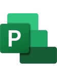 Microsoft Office Project Professional