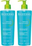Bioderma Sebium | Sebium Foaming Gel | Foaming Cleanser | Cleanse, Moisturise & 