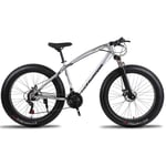 Ti-Fa Fat Bike 26" mountain Bike for adults High-carbon Steel Frame Double Disc Brake Suspension Fork Rear Suspension Anti-Slip for city beach or the snow,Silver,21 speed