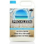 Steam Detergent High Concentrate Solution - Ocean Fragrance - 1 x 5L