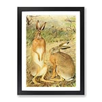 Vintage Karl Ludwig Hartig Hare Vintage Framed Wall Art Print, Ready to Hang Picture for Living Room Bedroom Home Office Décor, Black A2 (64 x 46 cm)