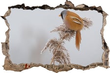 pixxp Rint 3D WD S1103 _ 62 x 42 Petit Oiseau sur winterlicher épais Plante percée 3D Sticker Mural Mural en Vinyle, Multicolore, 62 x 42 x 0,02 cm