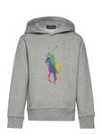 Big Pony Fleece Hoodie Tops Sweat-shirts & Hoodies Hoodies Grey Ralph Lauren Kids