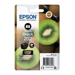 Original Epson 202 Photo Black Ink Cartridge (C13T02F14010)
