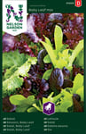 NELSON GARDEN Grønnsaksfrø Nelson Garden Salat Baby Leaf Mix