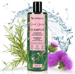 Vis Plantis Rosemary Greasy Hair Shampoo for Sensitive, Oily Scalp | Natural Oil