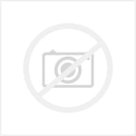 Segway NINEBOT KICKSCOOTER F PLUS E :: AA.05.12.020003  (Unclassified > Unclassi