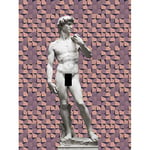 Artery8 Statue of David by Michelangelo Classic with Abstract Art Pink Cubes Large Wall Art Poster Print Thick Paper 18X24 Inch